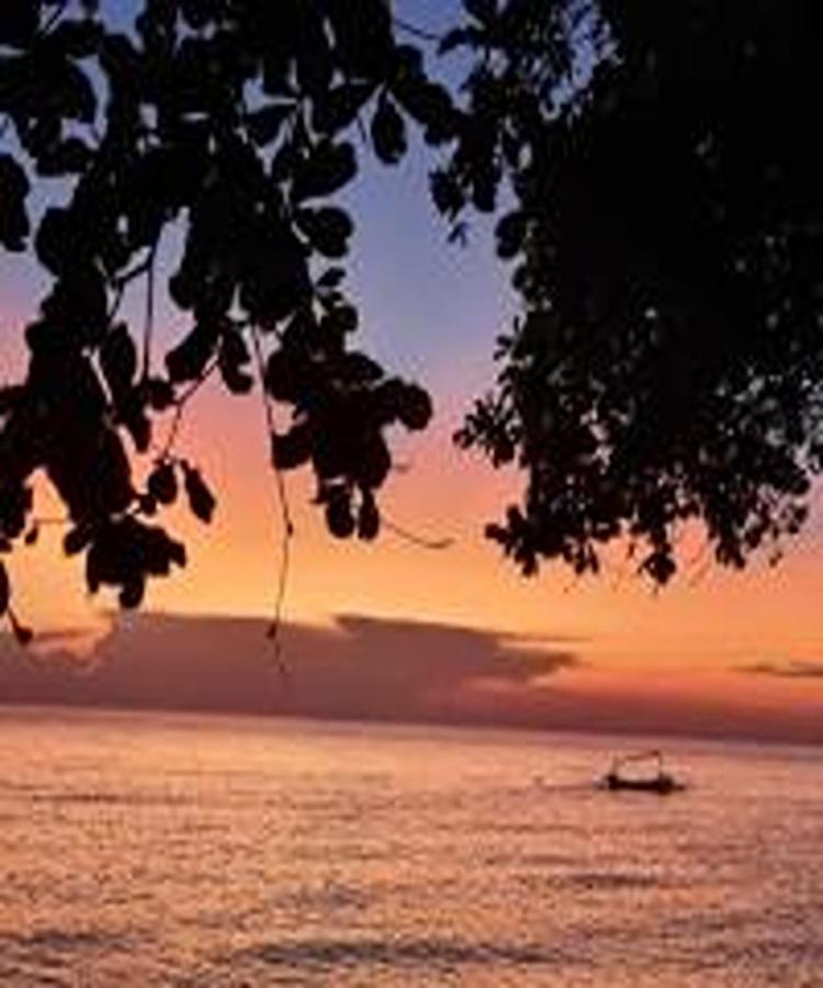 Villa Palm Bali Singaraja (Bali)