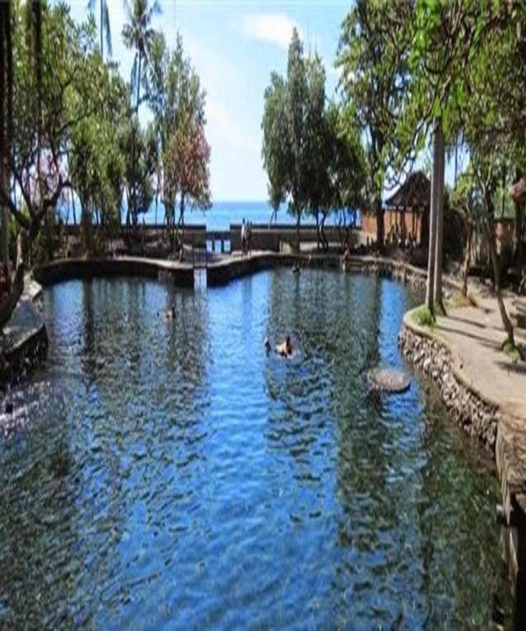 Palm Bali Villa Singaraja (Bali)