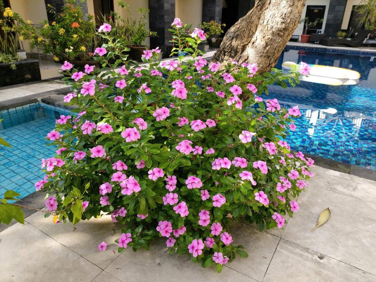 Hotel Radha Bali Kuta (Bali)