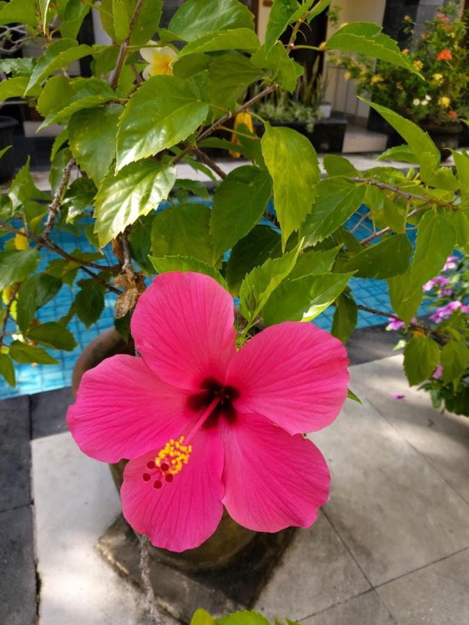Hotel Radha Bali Kuta (Bali)