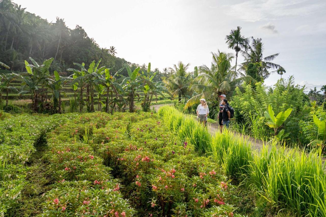 Hotel Kaura Bali 4*