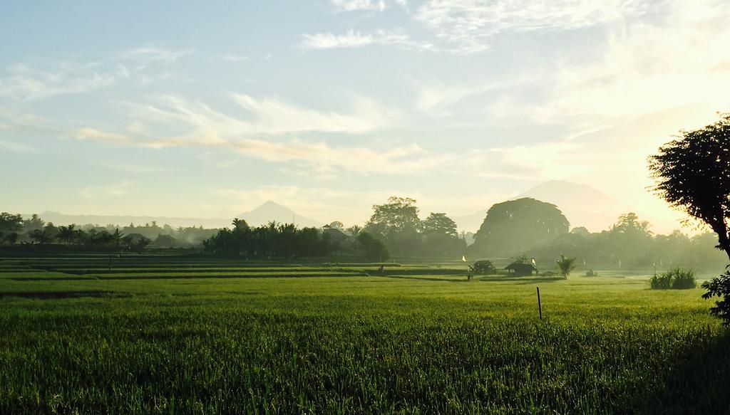 Taman liburan Devi's Place