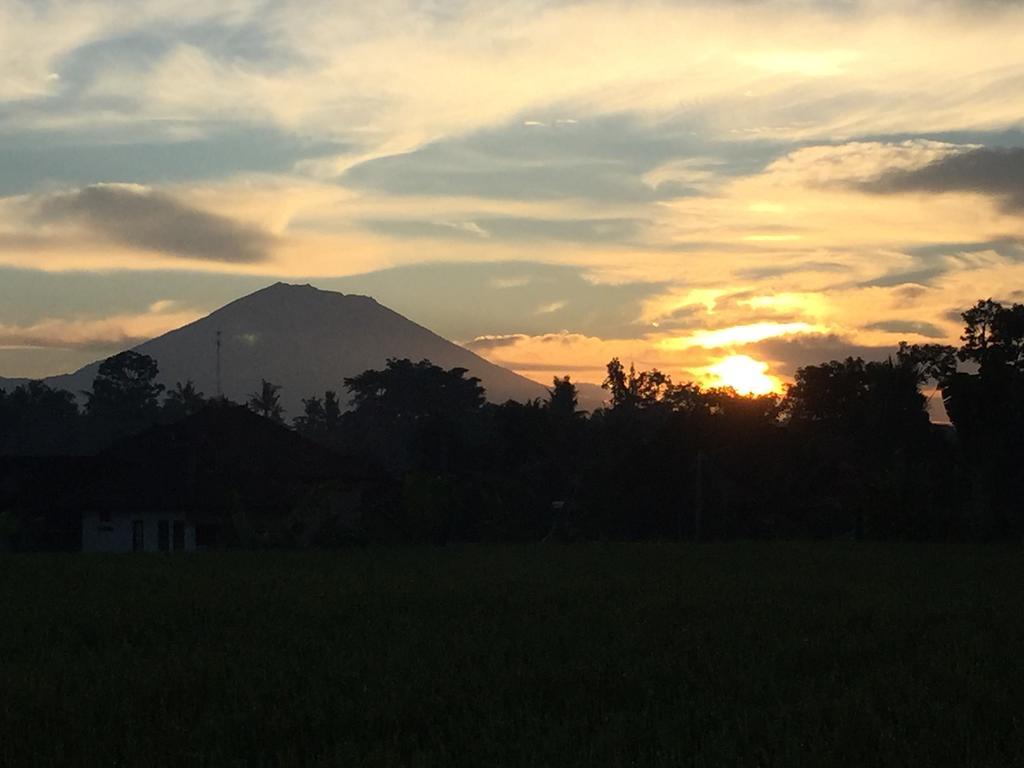 Taman liburan Devi's Place 2*