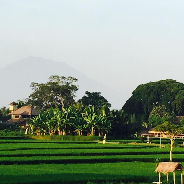 Devi's Place Taman liburan 2*