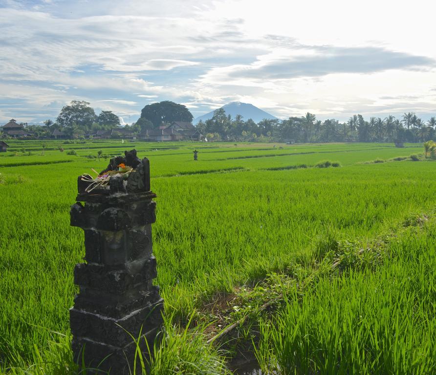 Devi's Place 2* Ubud (Bali)