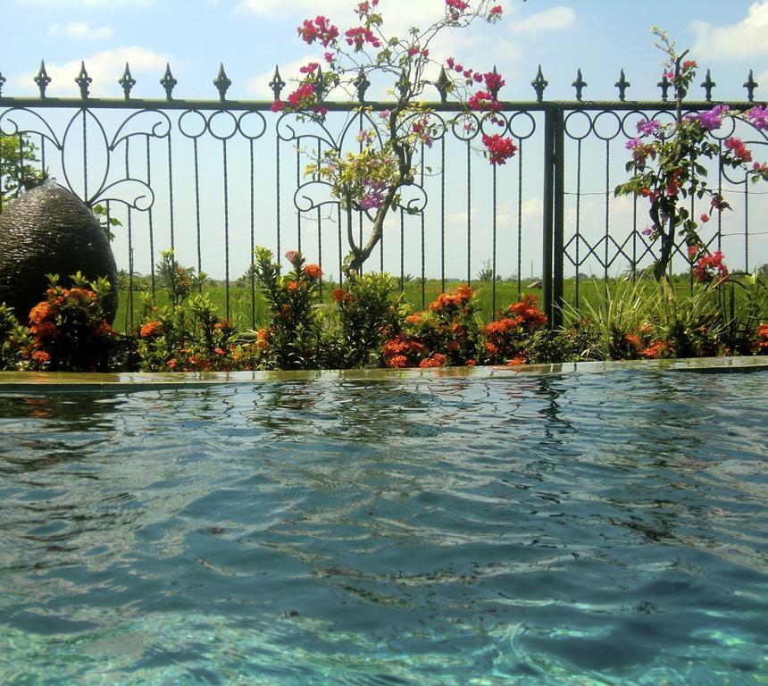 Devi's Place Holiday park