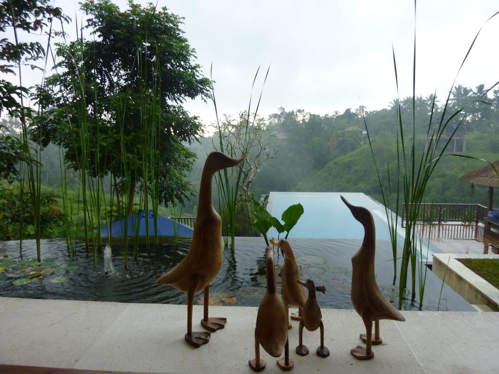 Amori Ubud (Bali)