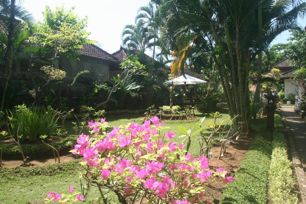 Ray * Buleleng (Bali)