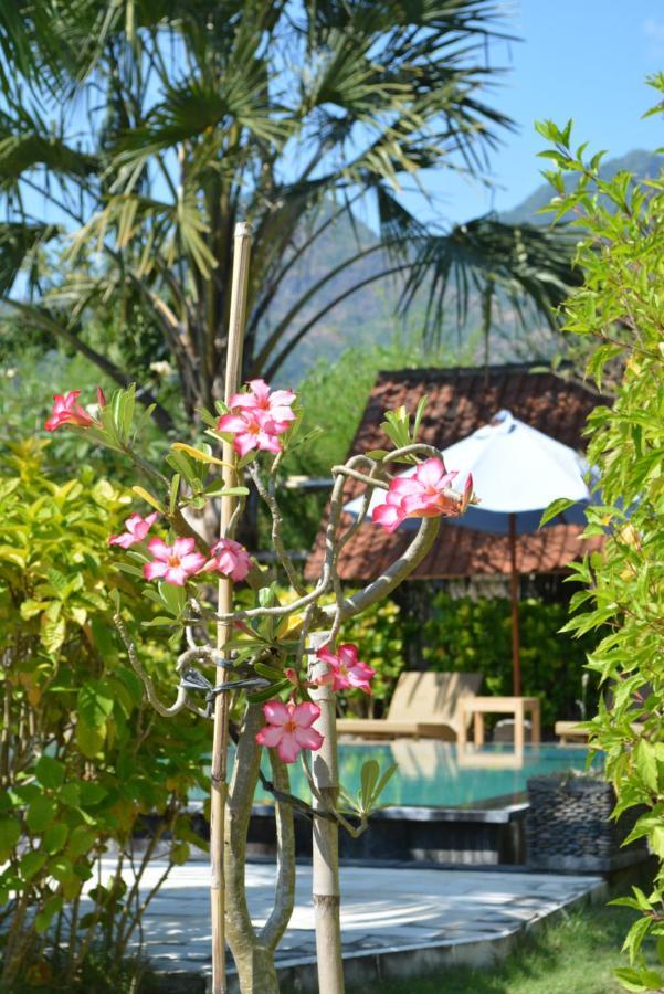 Taman liburan Sunia Loka Bungalows&dive Center