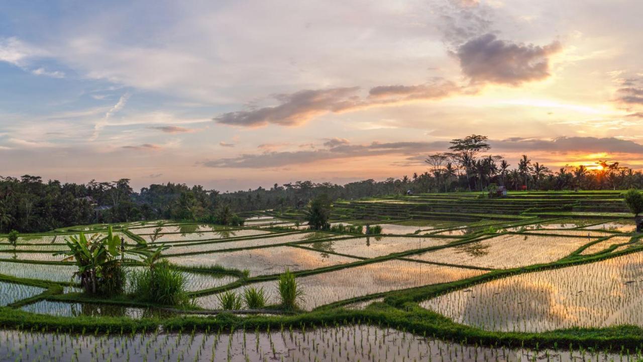 Villa Stanagiri Ubud