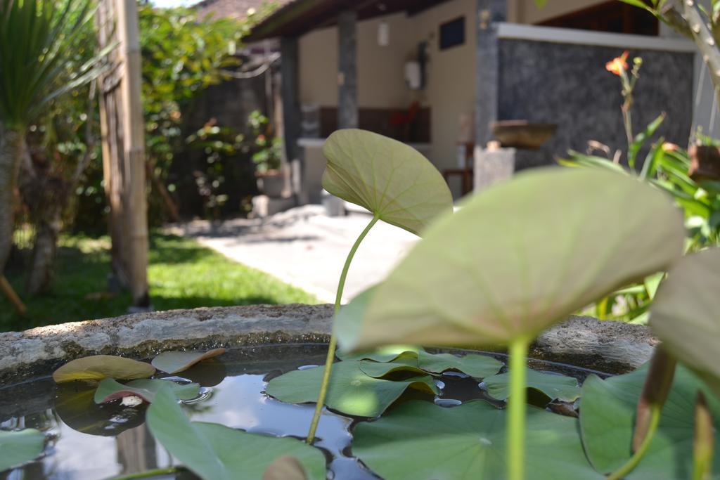 Sakha House Guest house *