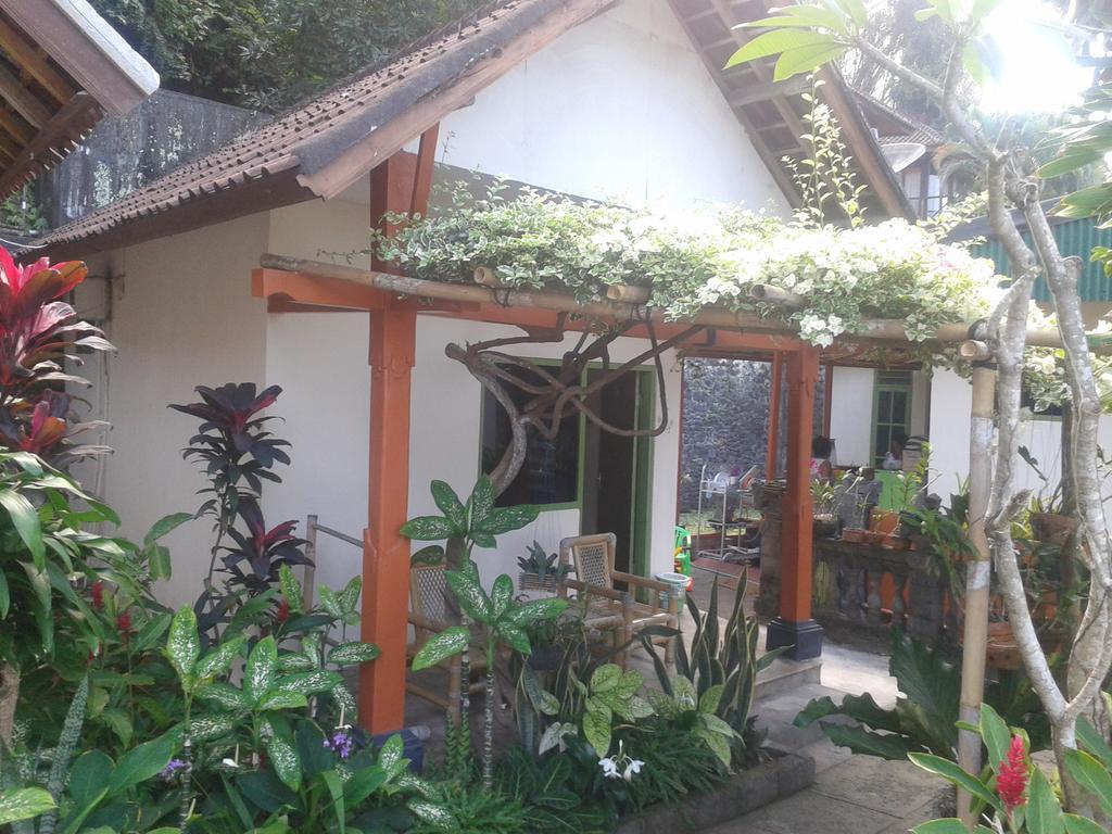 Ari * Candi Dasa (Bali)