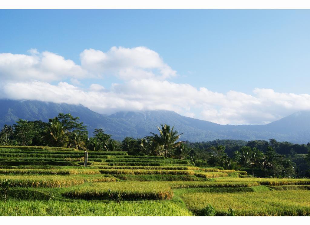 Ti Amo Bali Holiday park