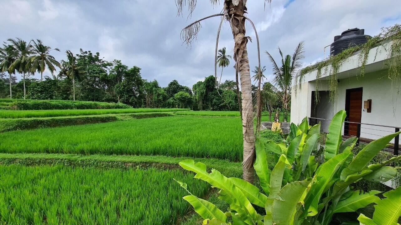 Holiday park Ayurvedagram Bali