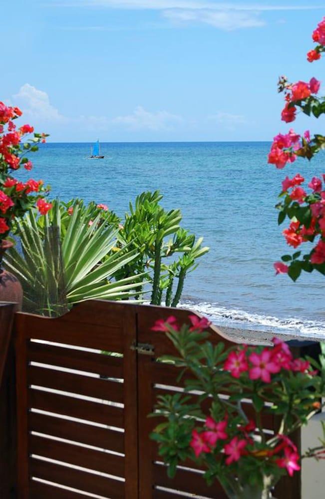 Frangipani