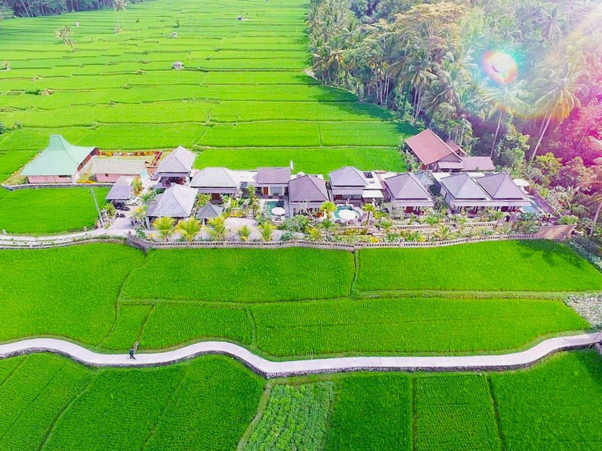 Jj And Ubud (Bali)