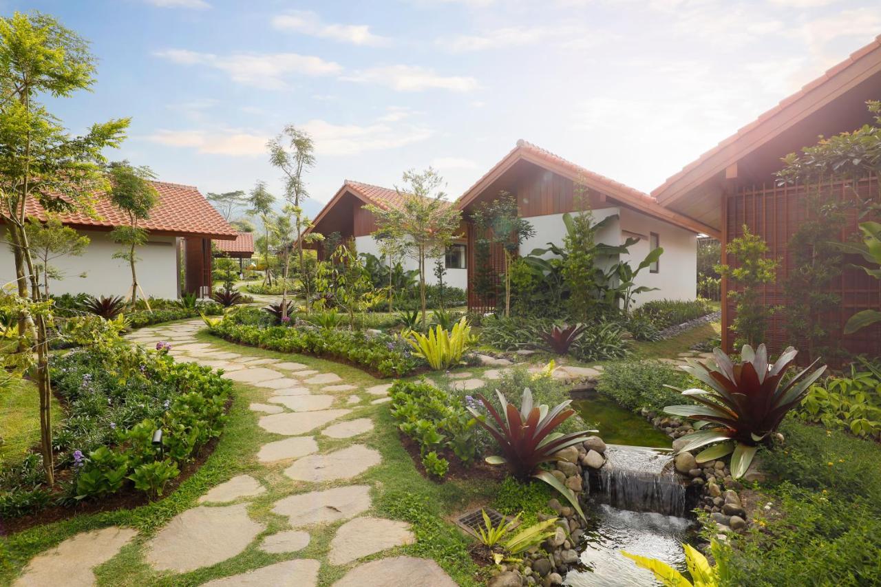 Dusun Bedugul Asri Resort *