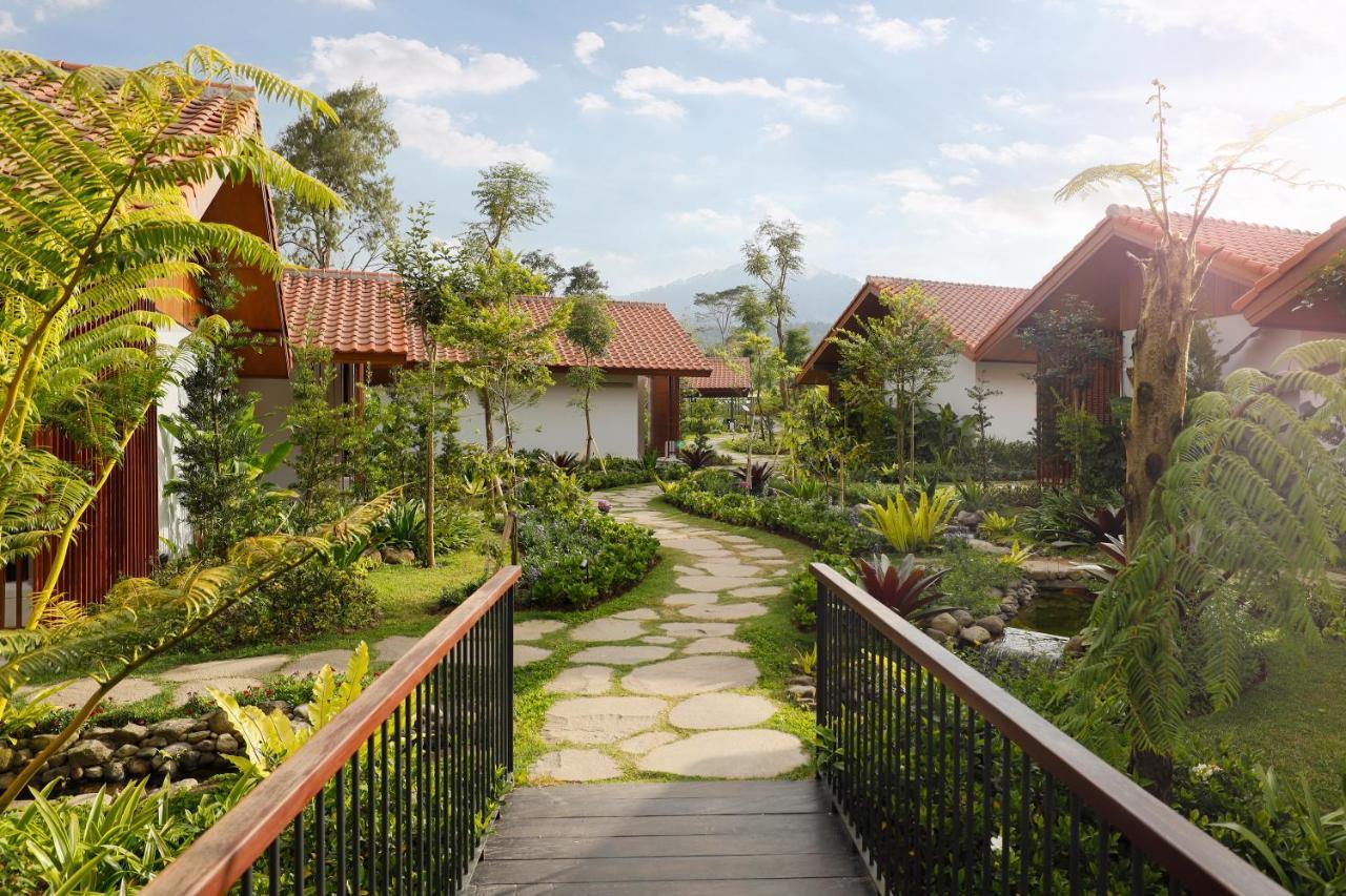 Dusun Bedugul Asri Bedugul (Bali)