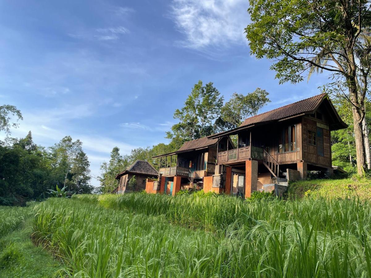 Lodge Oemah Tepi Sawah