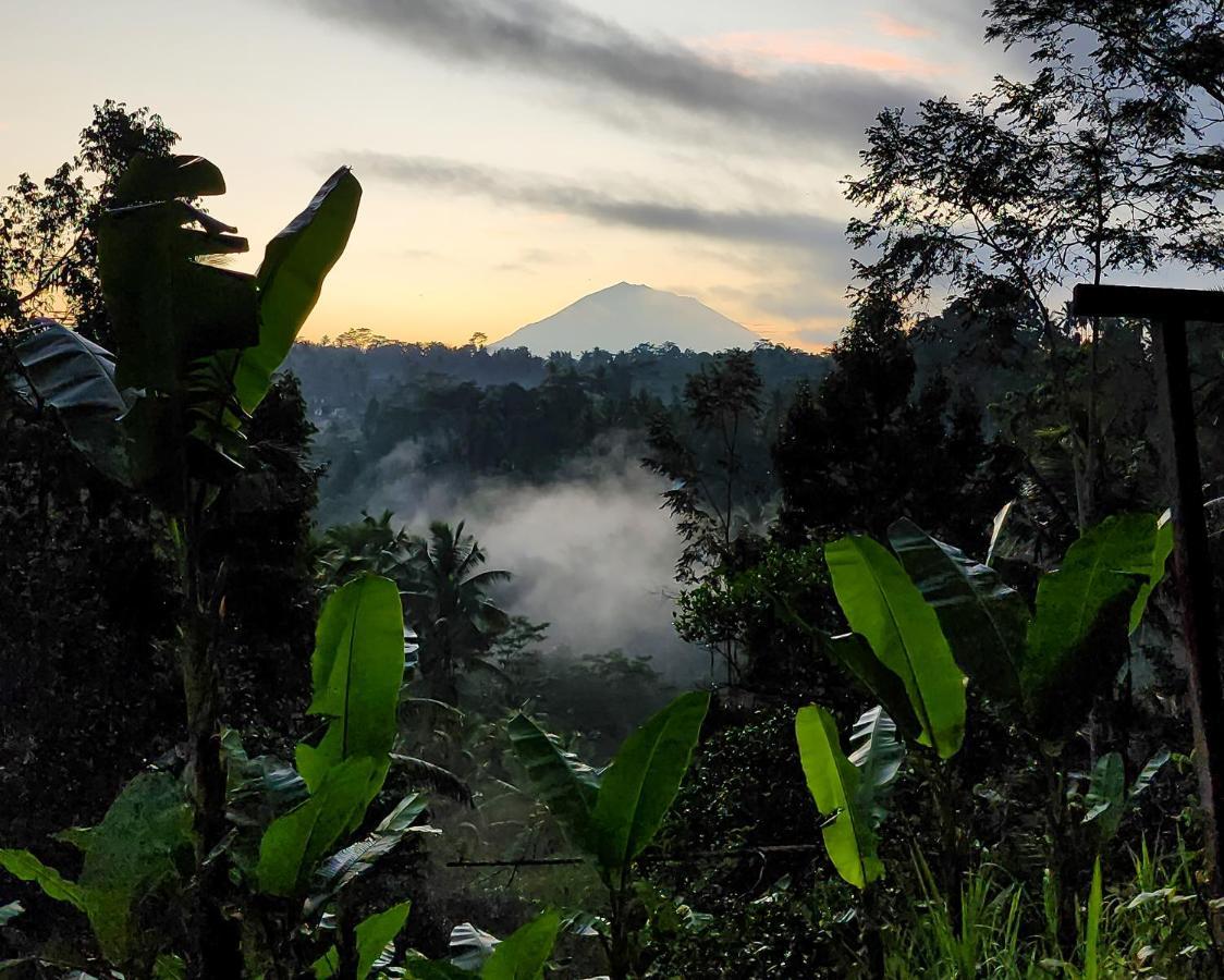 Delta Casa Ubud-jungle With Volcano View *