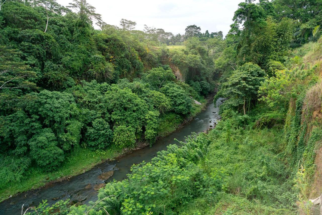 The Pyramid Ubud River Villa