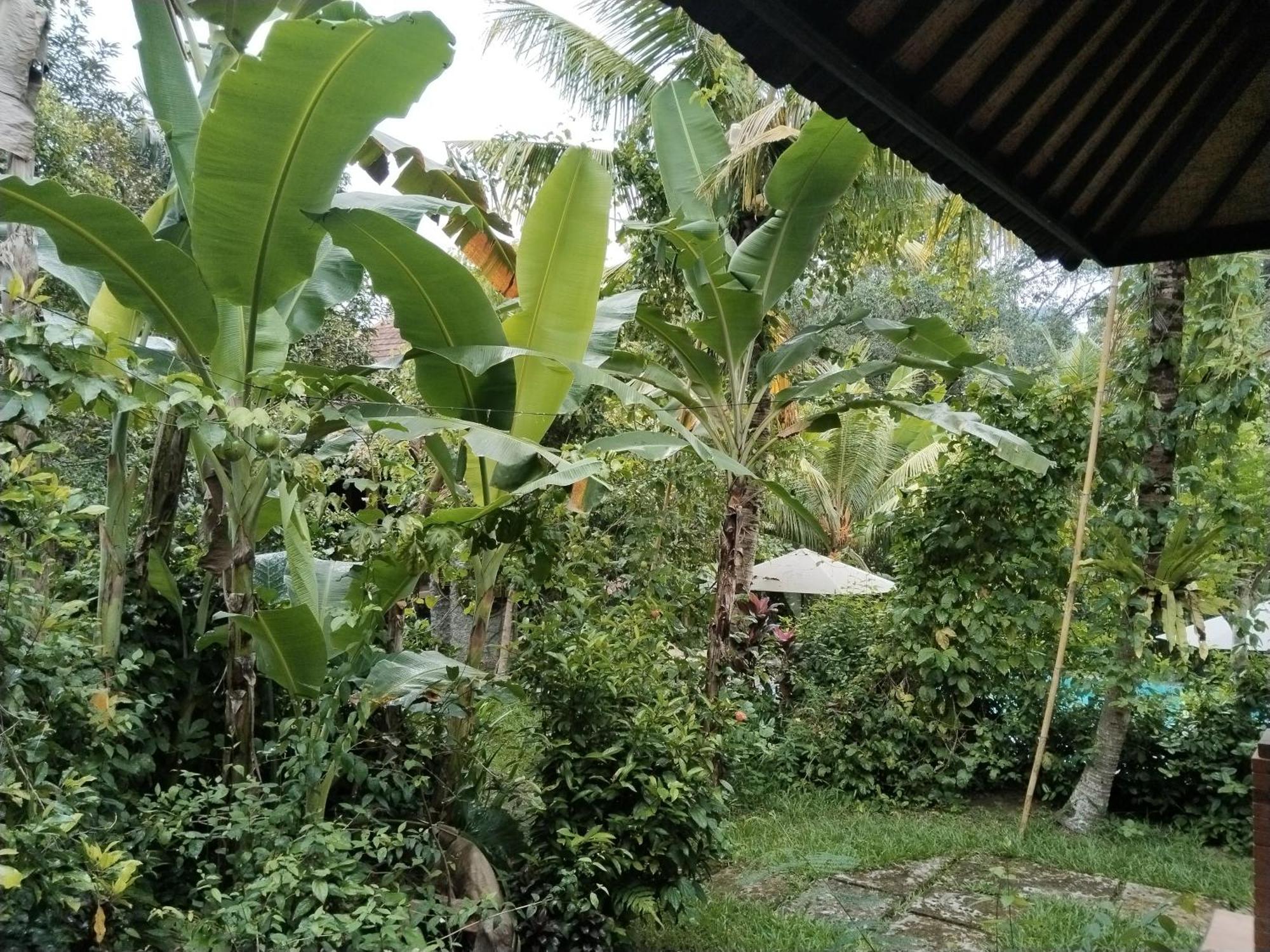 Khrisna Hs And