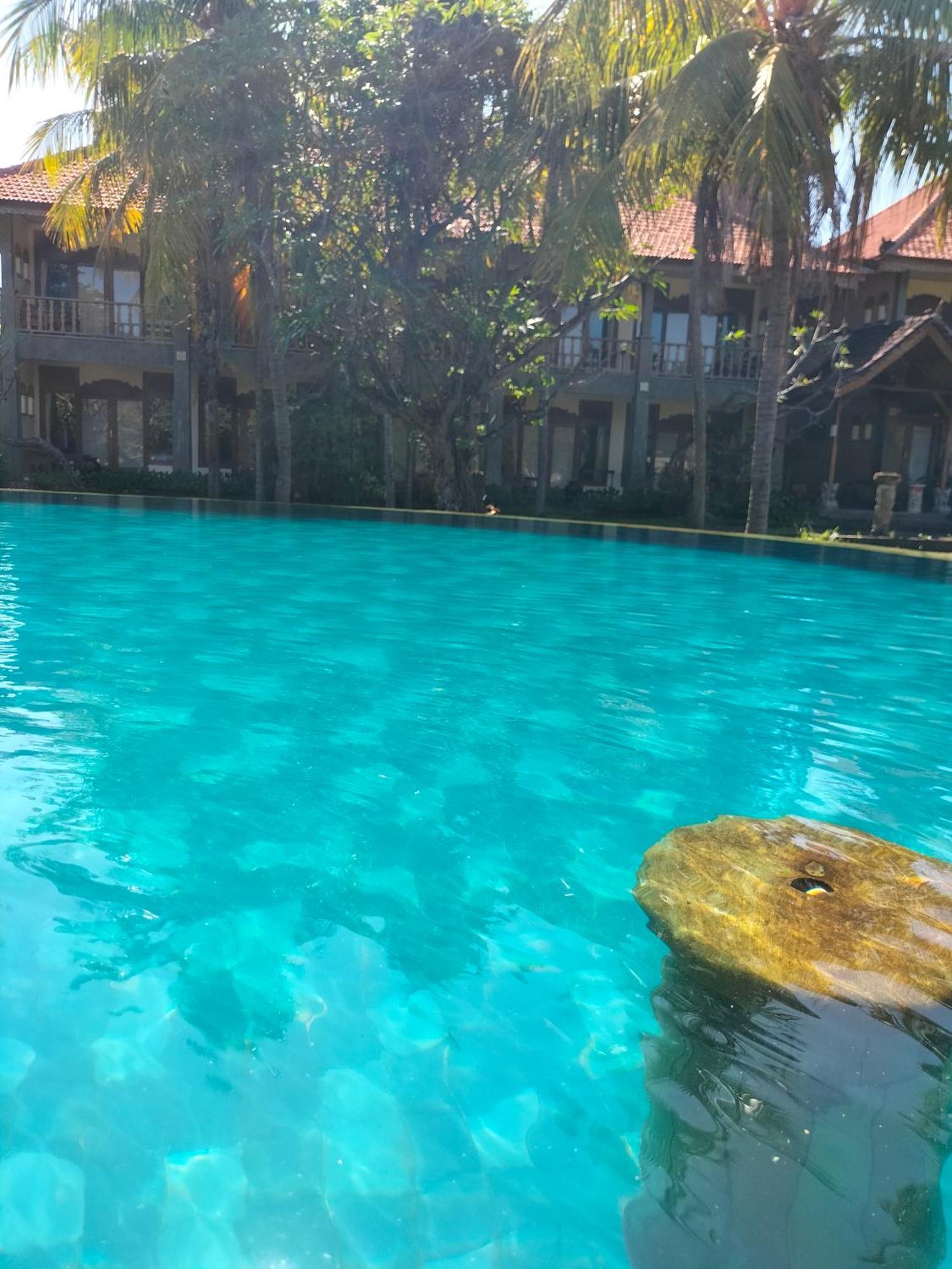 Seaside 3* Lovina (Bali)