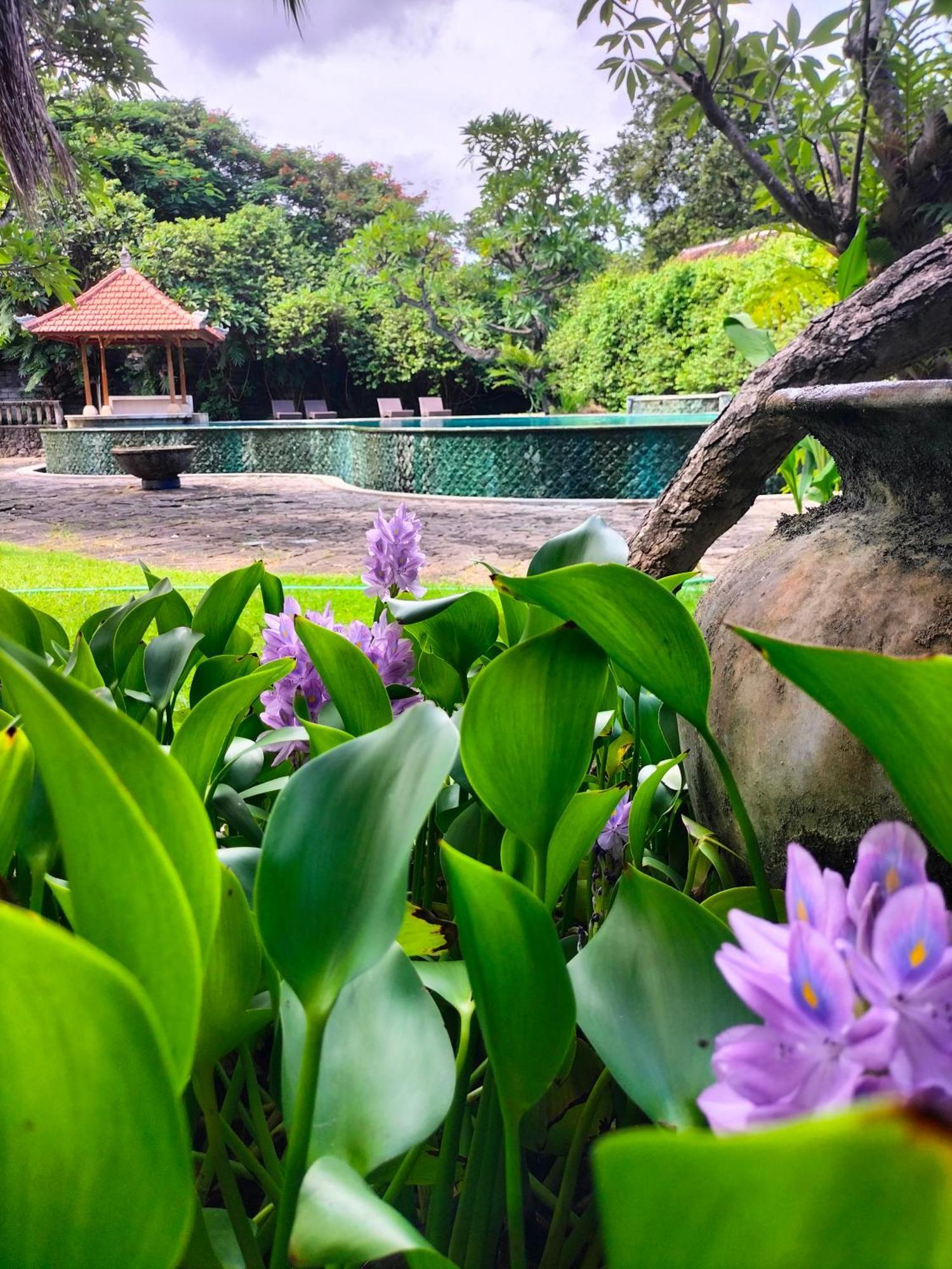 Seaside Lovina (Bali)