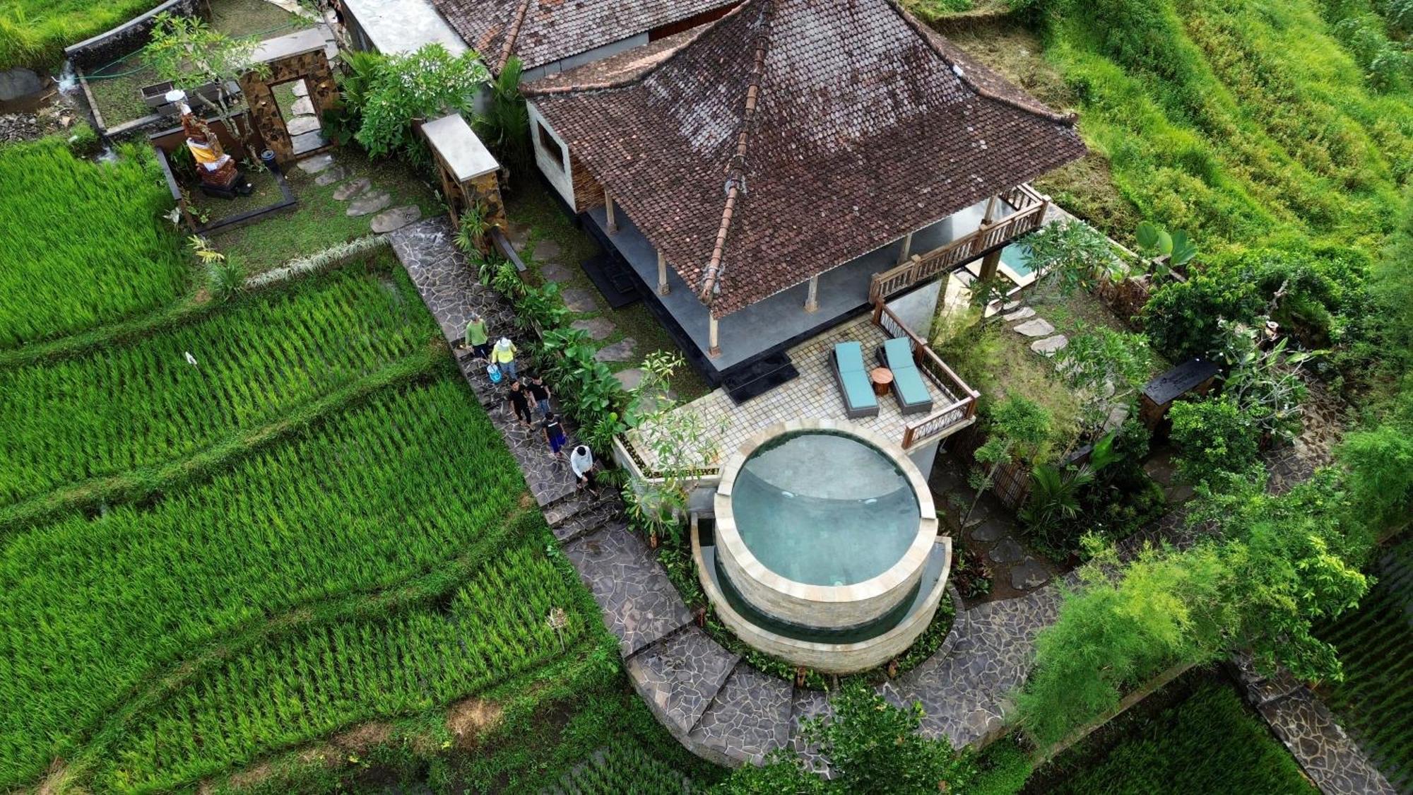 Abian Ayu Sidemen (Bali)