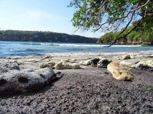 Holiday park Oceanview Nusa Penida 2*
