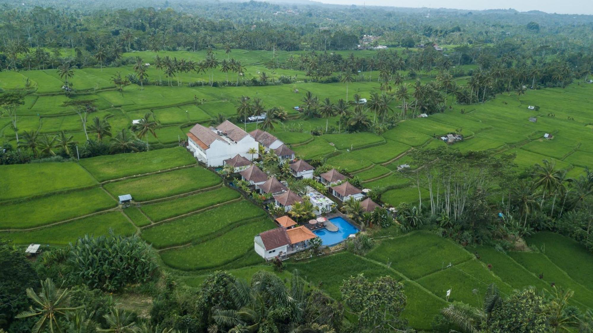 Tanta Escape Hotel Tegallalang (Bali)