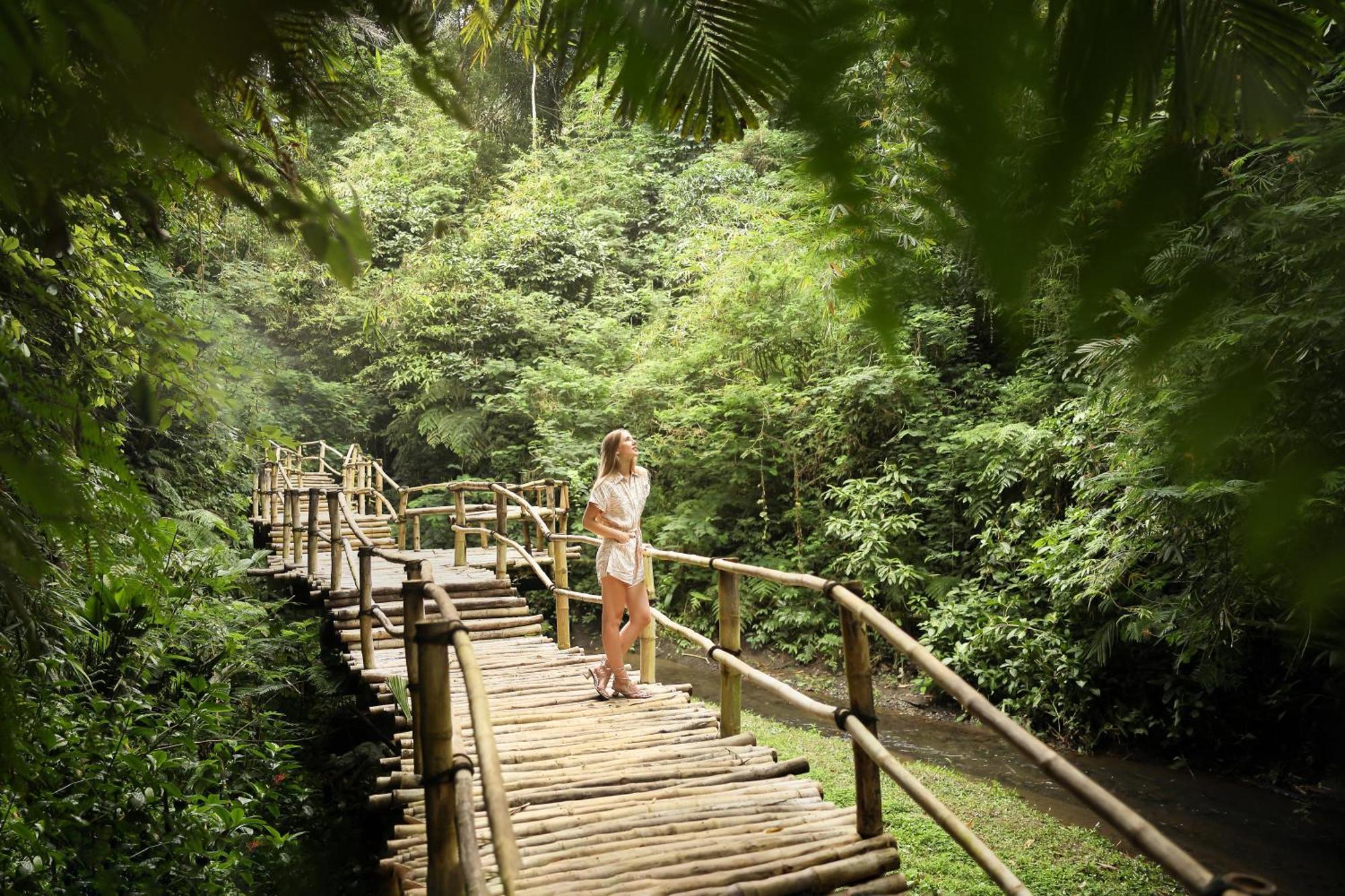Padma Ubud Resort Payangan