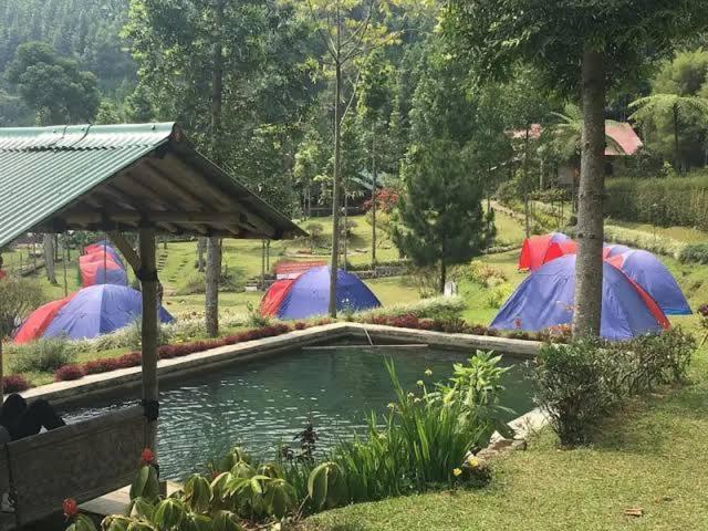 Luxury tent Wong Deso *