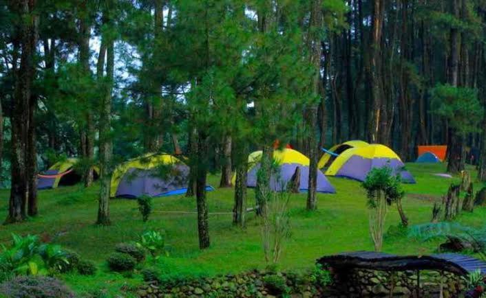 Luxury tent Wong Deso