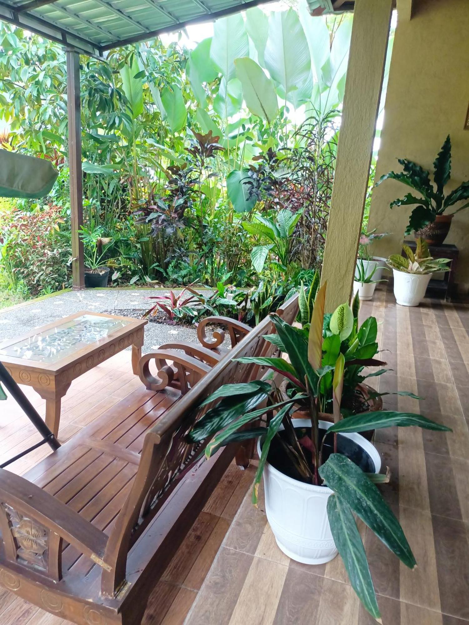 Bed & Breakfast Amartya Puri Munduk (Bali)