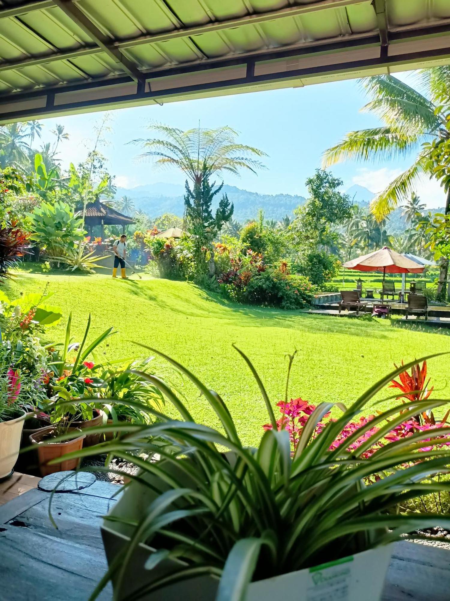 Amartya Puri Bed & Breakfast