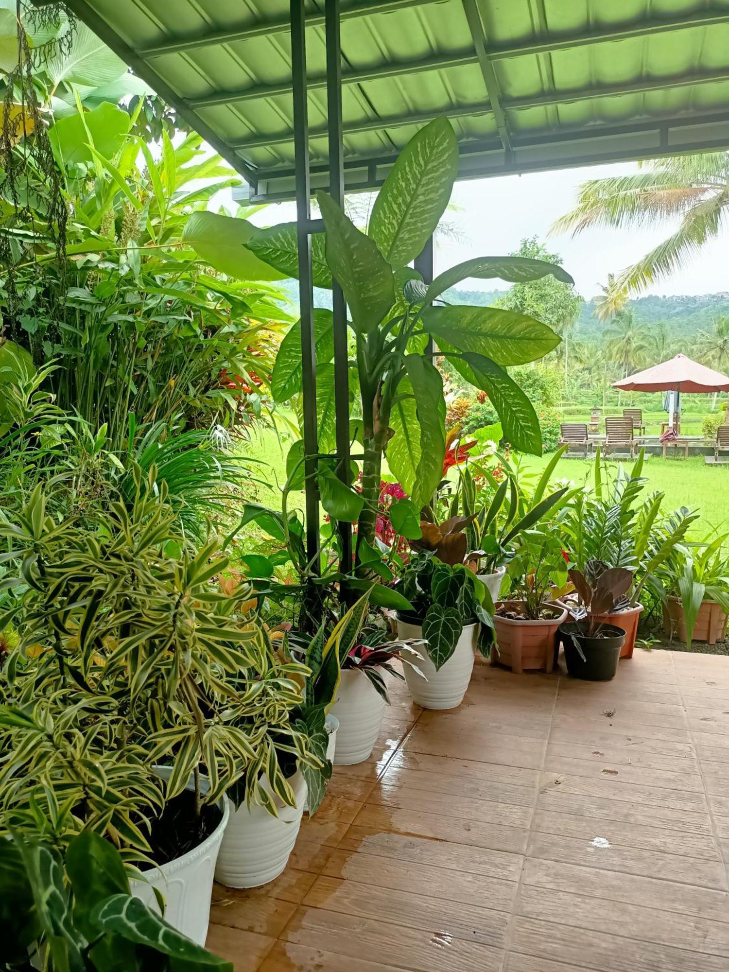 Bed & Breakfast Amartya Puri 2*