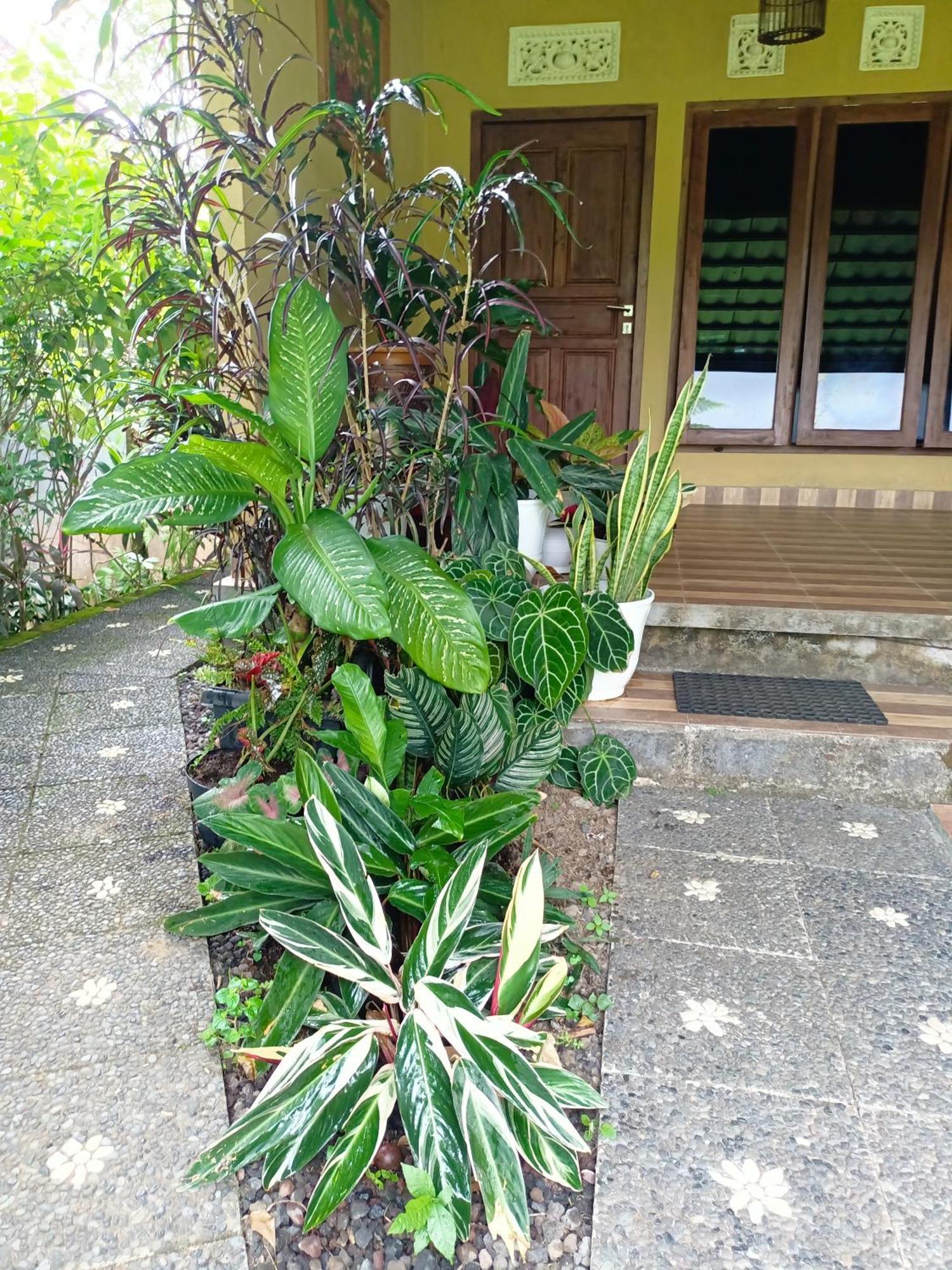 Amartya Puri Munduk (Bali)