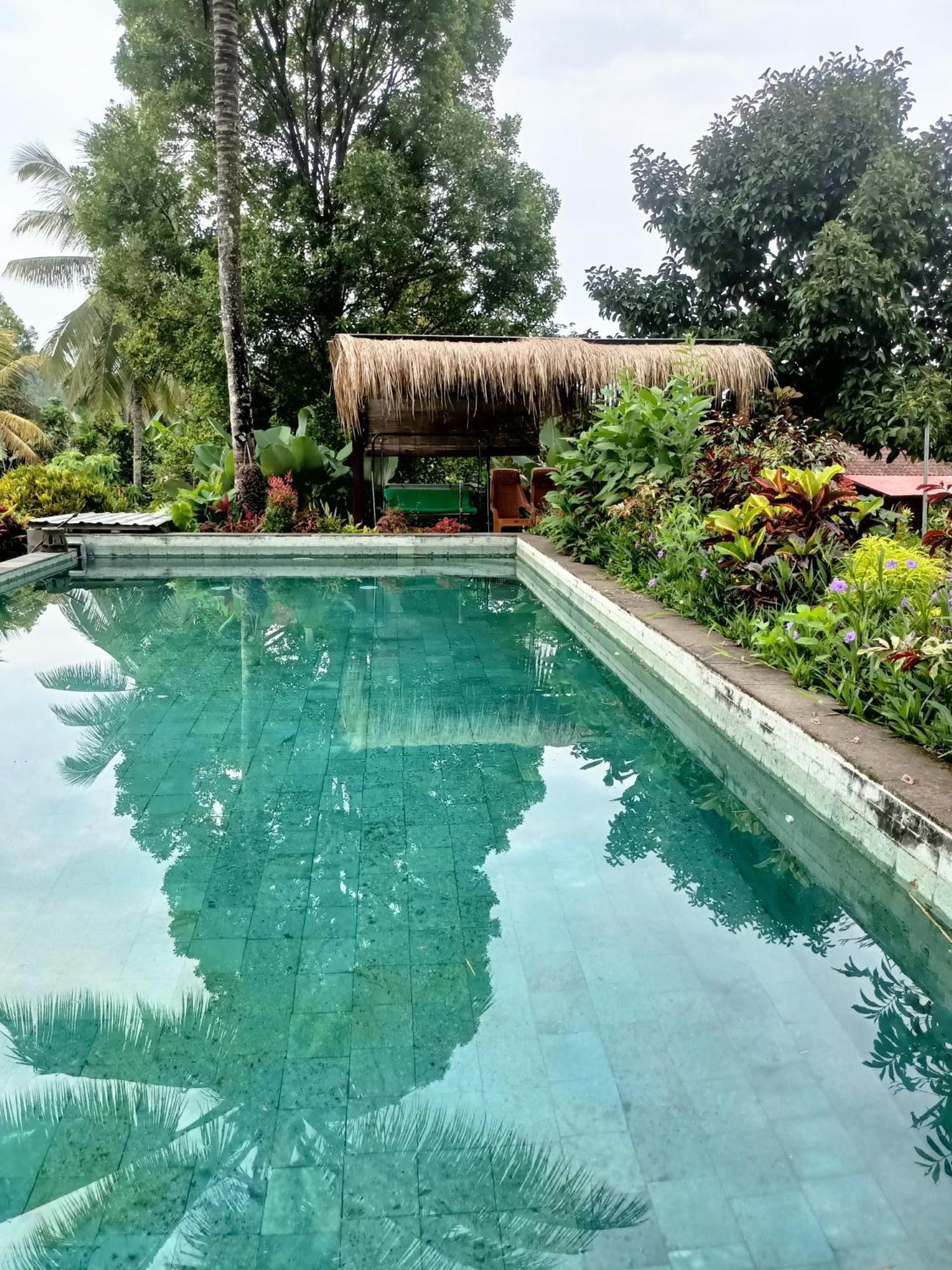 Amartya Puri Bed & Breakfast 2*