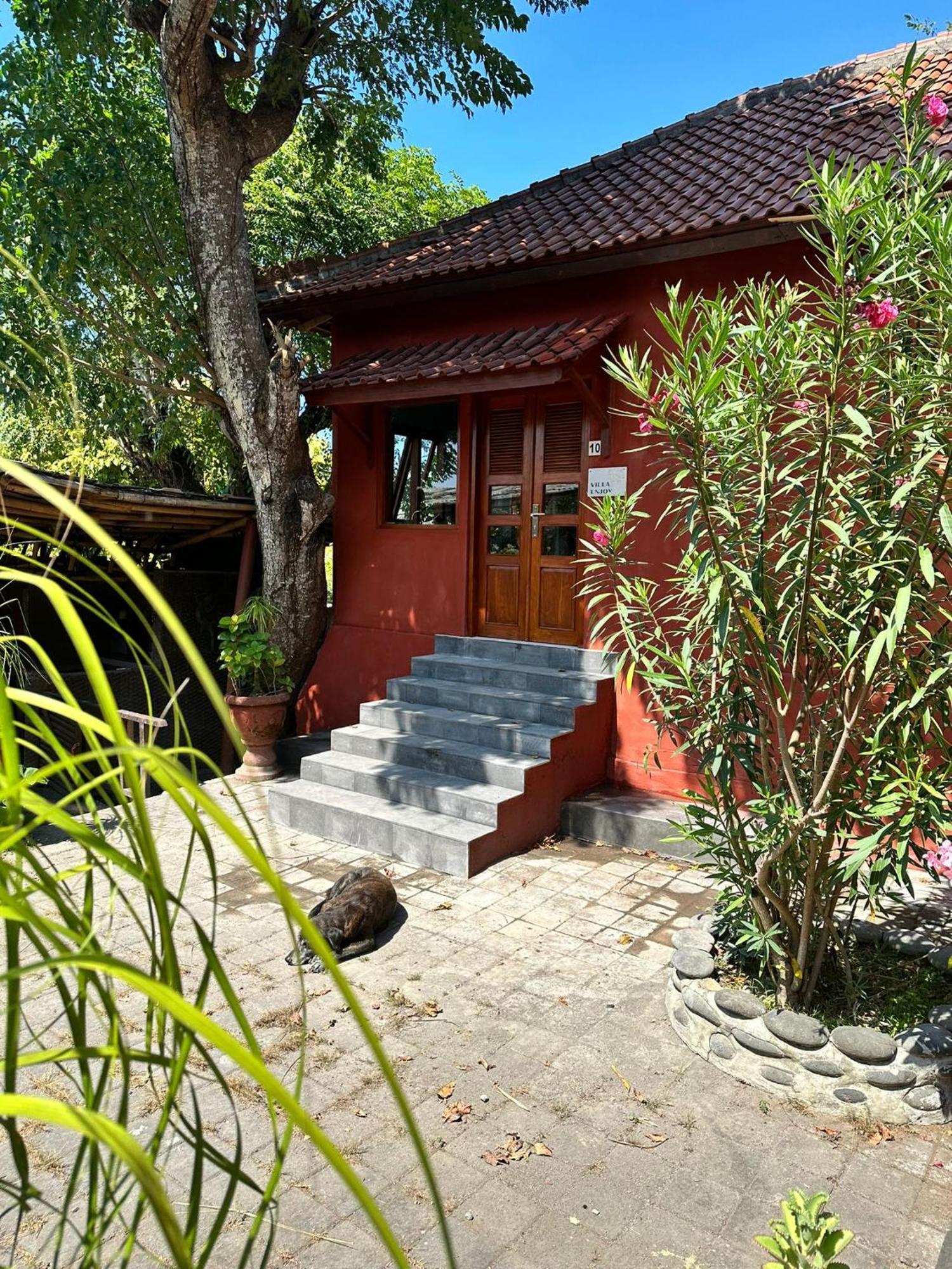 Taman liburan Anjing 2 Nusa Dua (Bali)