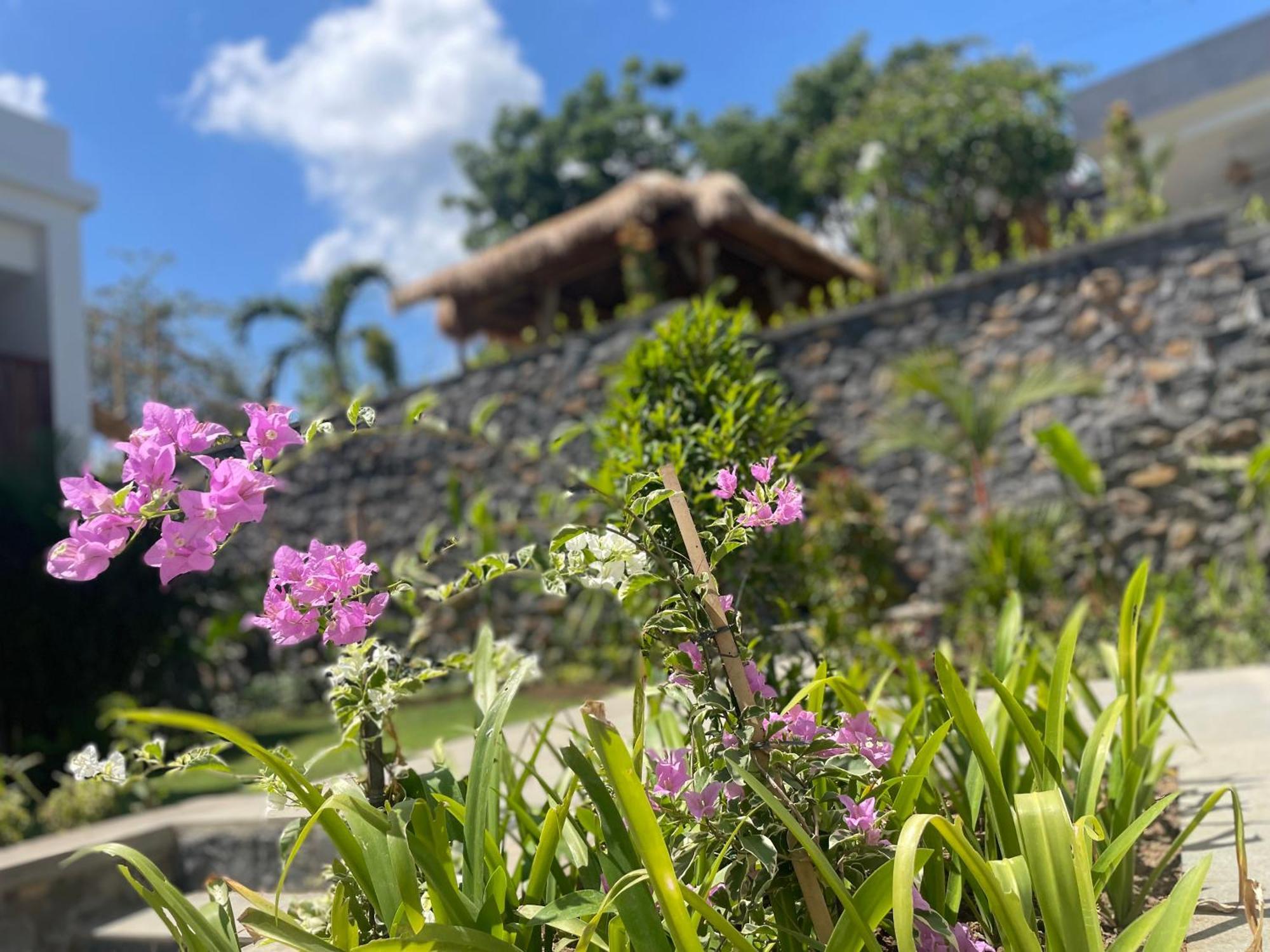 The Angsa Villa Amed (Bali)