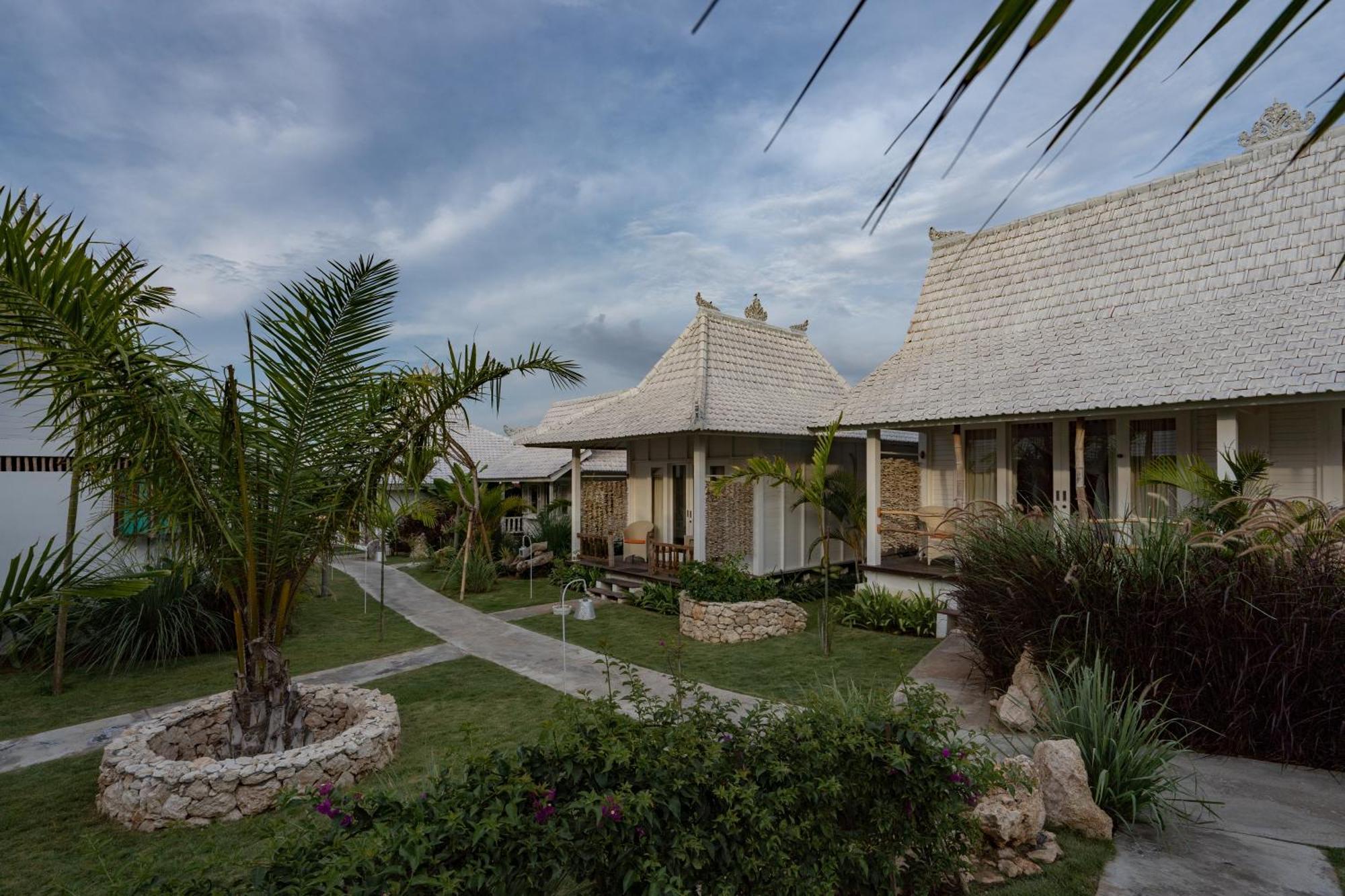 Paus Putih Nusa Lembongan (Bali)