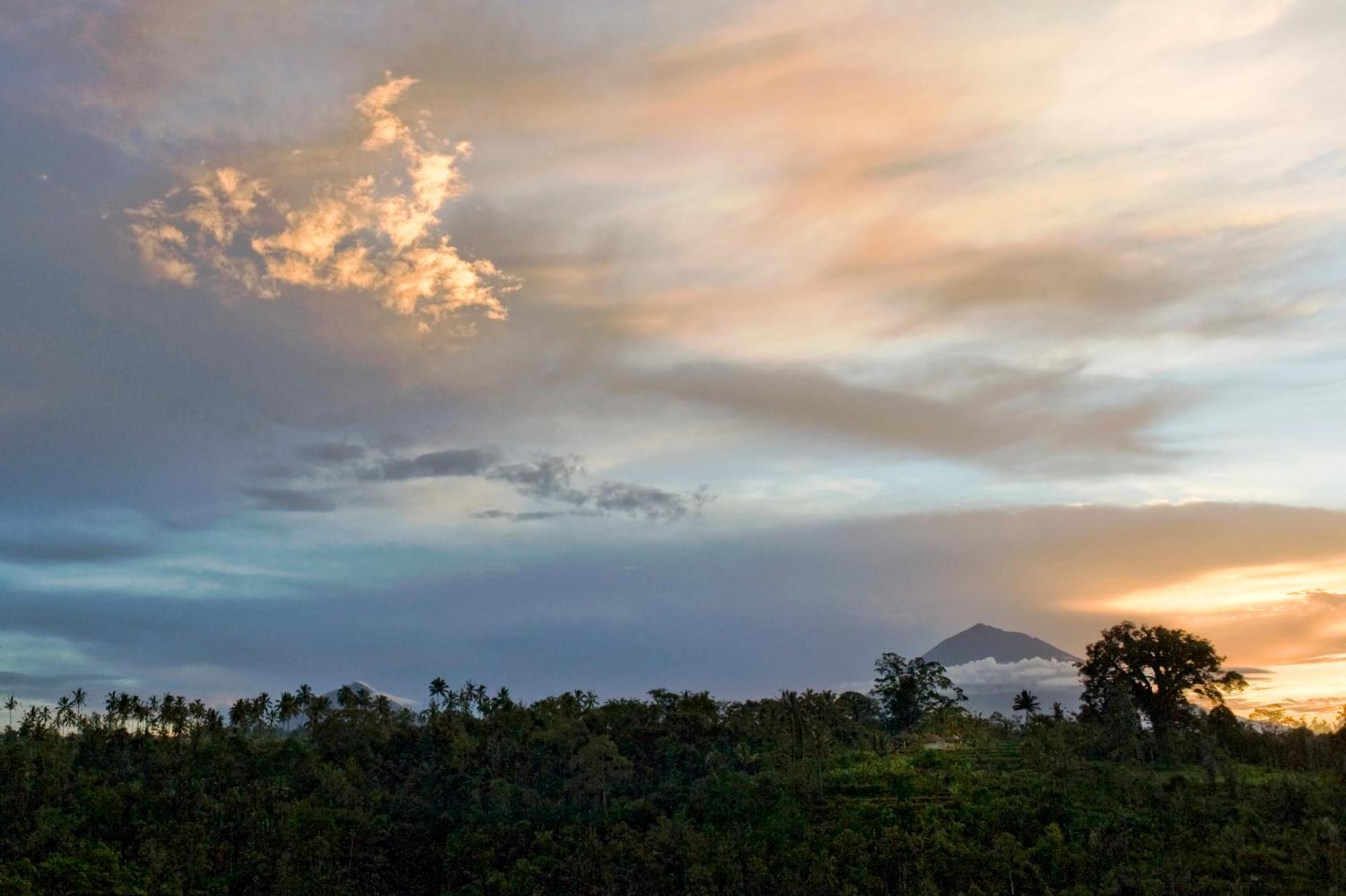 Awan Putih Resort