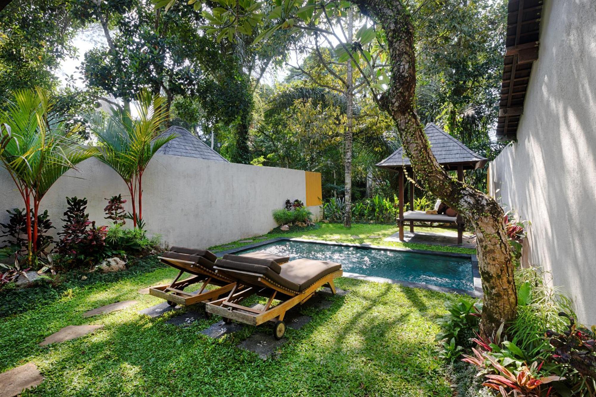 Padi * Ubud (Bali)