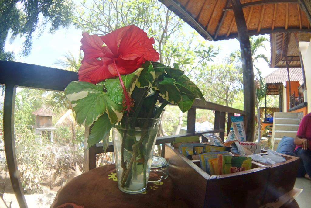Wisma tamu Pt Putra Momongan Menyelam Scuba Amed (Bali)