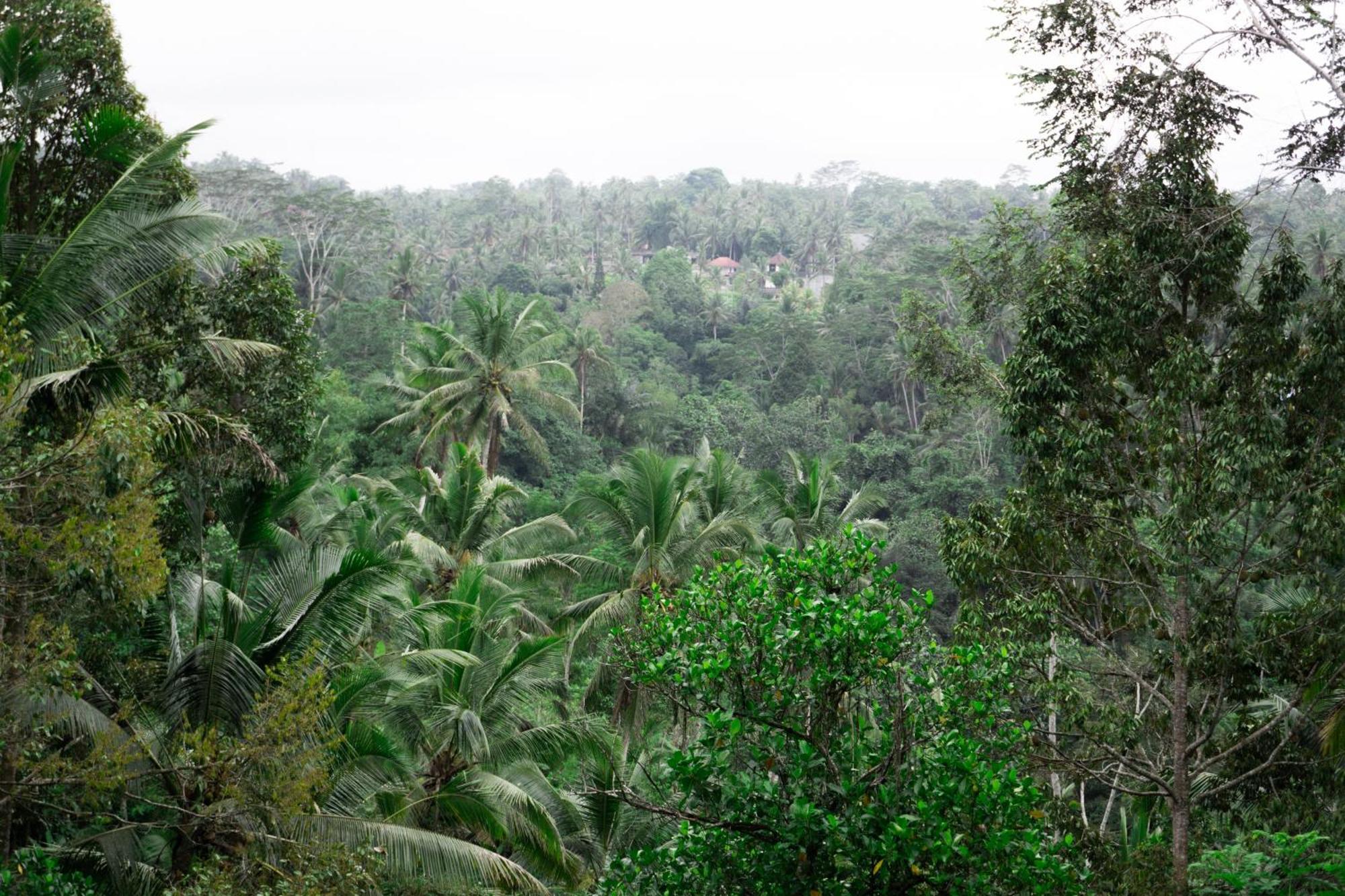 Delta Casa Ubud-jungle With Volcano View Gianyar (Bali)