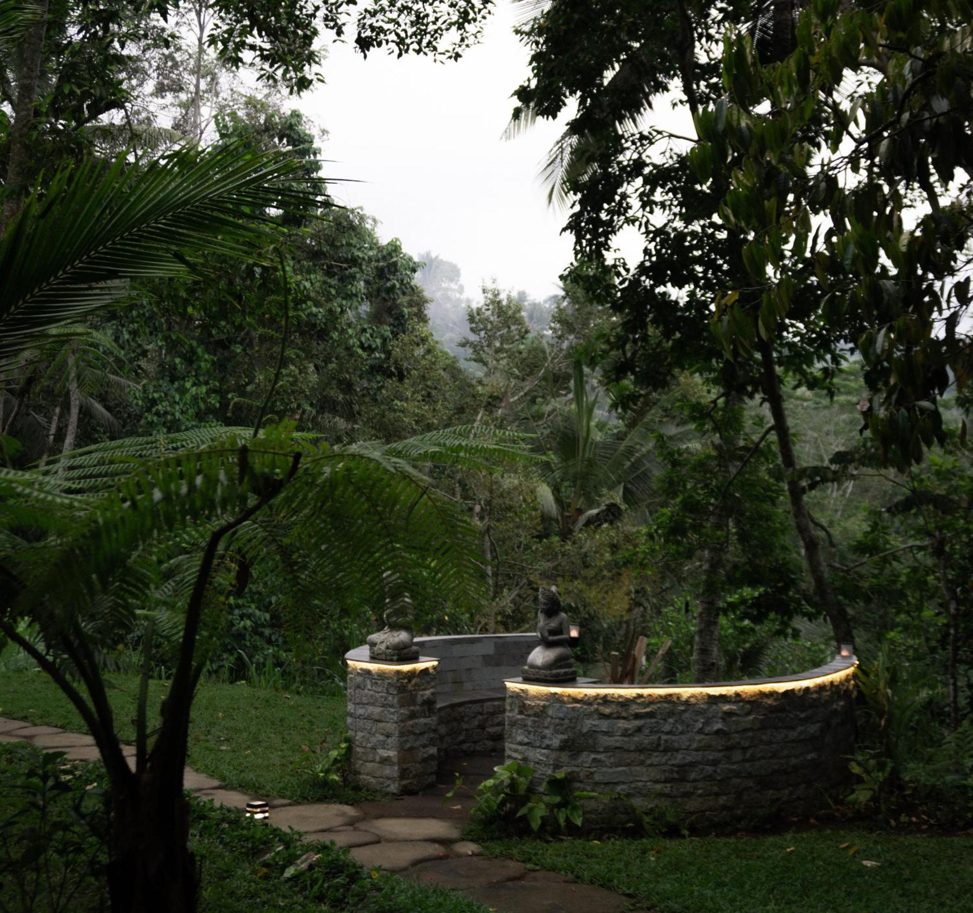 Delta Casa Ubud-jungle With Volcano View