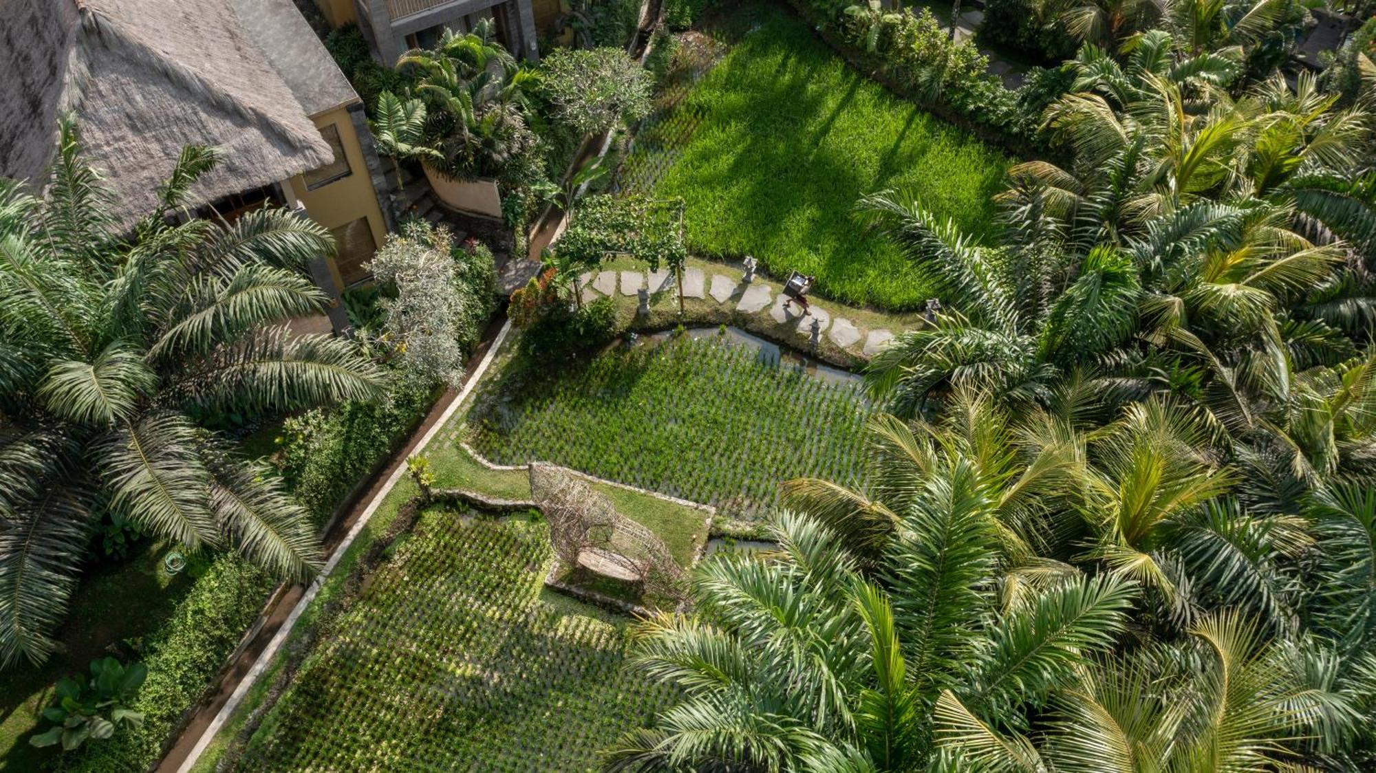 Resort The Sankara By Pramana Ubud (Bali)