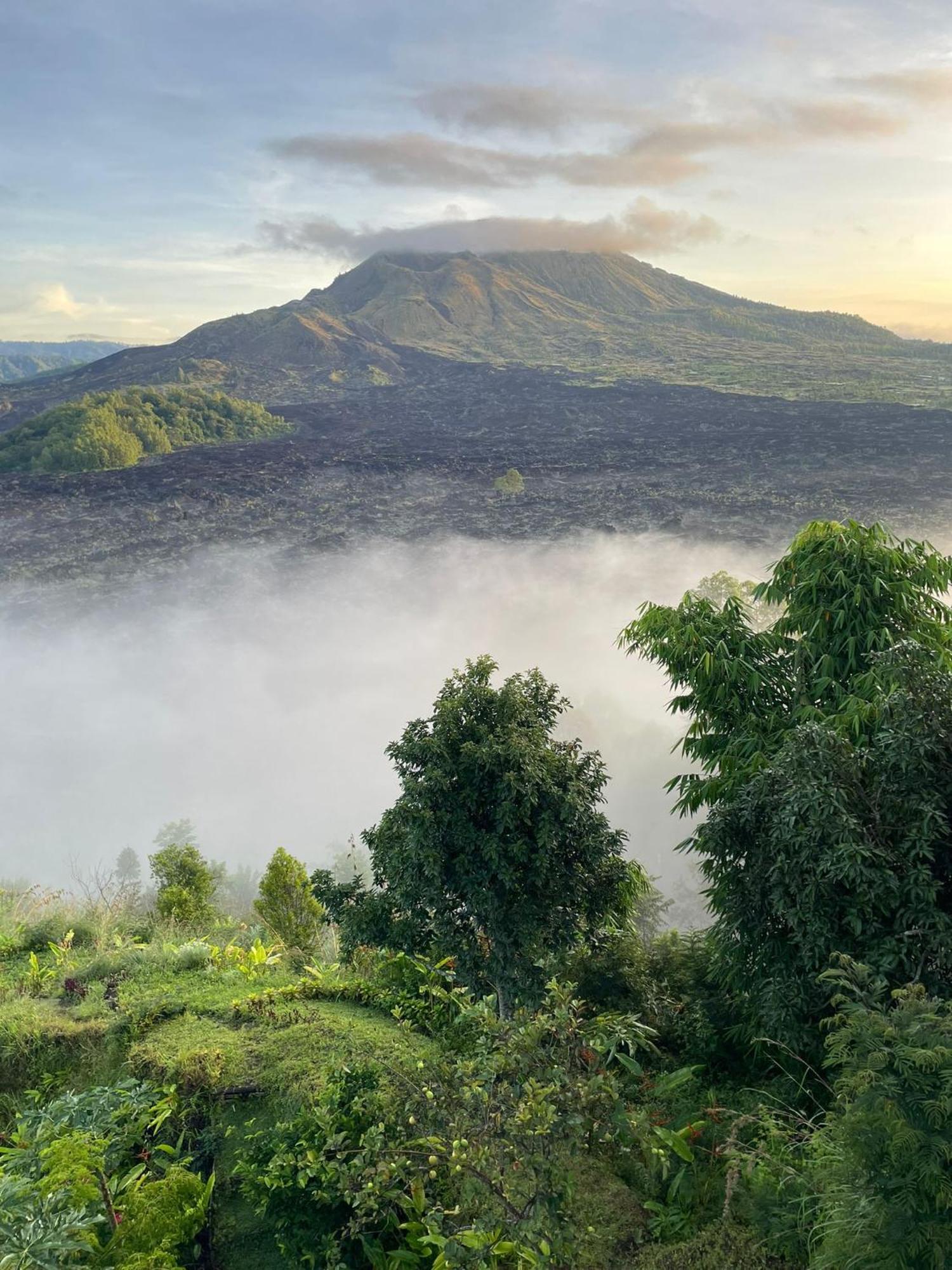 Ayodya Batur Guest house *