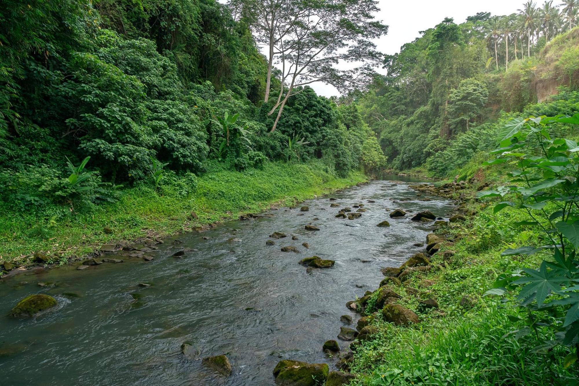 The Pyramid Ubud River Gianyar (Bali)